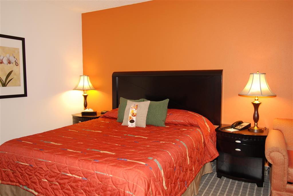 Oakland Airport Executive Hotel Camera foto